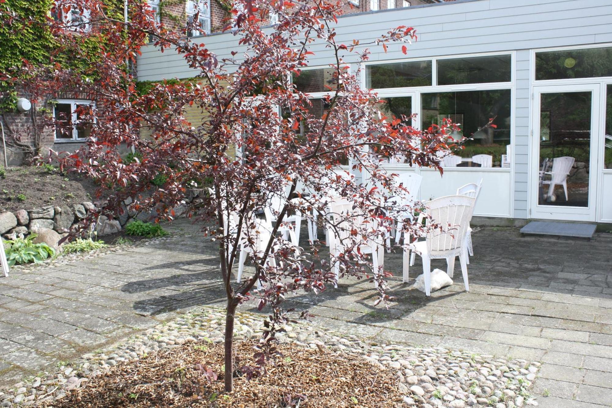 Emmaus Hostel Haslev Luaran gambar